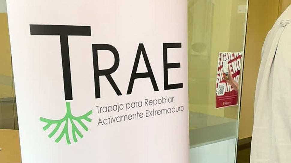 Proyecto TRAE
